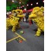 Lion Dance perfomence